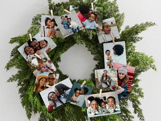 Αειθαλές στεφάνι φωτογραφίας